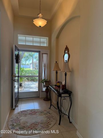 13531 Hunters Point Street, Spring Hill, FL 34608