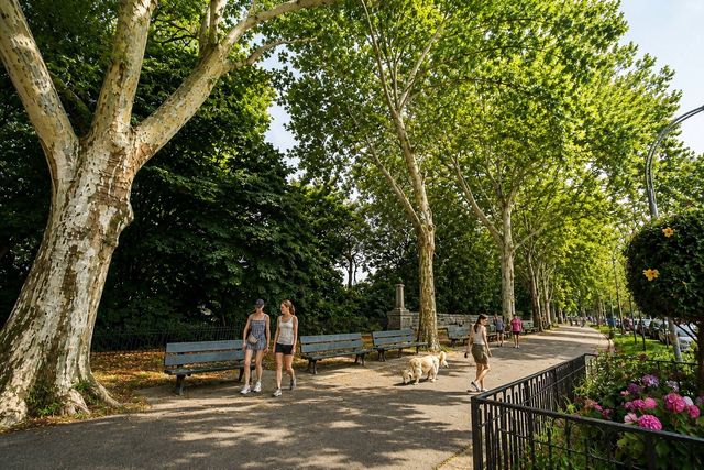 531 W 149TH Street, New York City, NY 10031