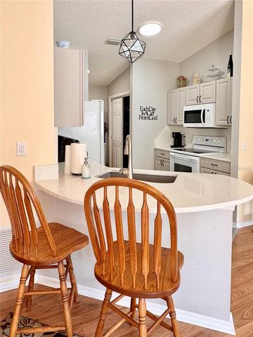 2507 EVERWOOD COURT, The Villages, FL 32162