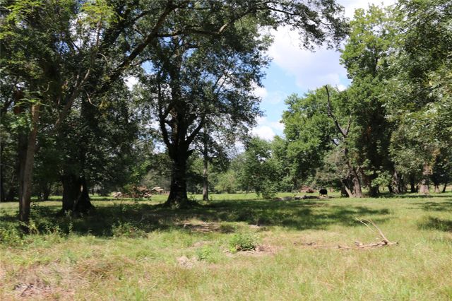 TBD Derby Lane, Madisonville, TX 77864