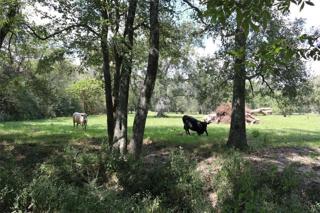 TBD Derby Lane, Madisonville, TX 77864