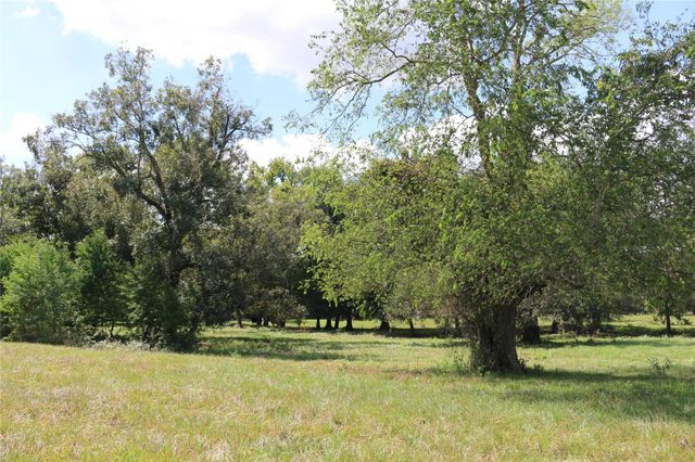TBD Derby Lane, Madisonville, TX 77864