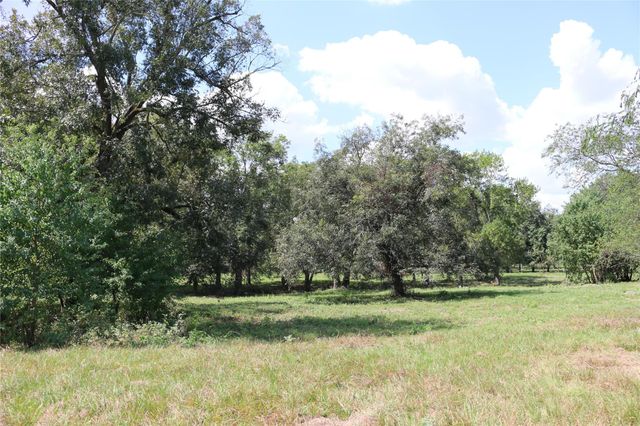 TBD Derby Lane, Madisonville, TX 77864