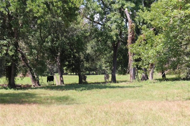 TBD Derby Lane, Madisonville, TX 77864