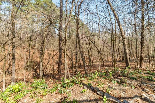 16 Perfecto Lane, Hot Springs Village, AR 71909