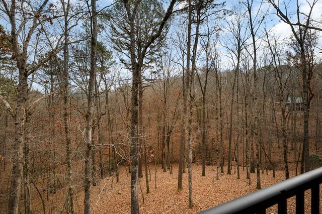 152 Noah Court, Ellijay, GA 30540