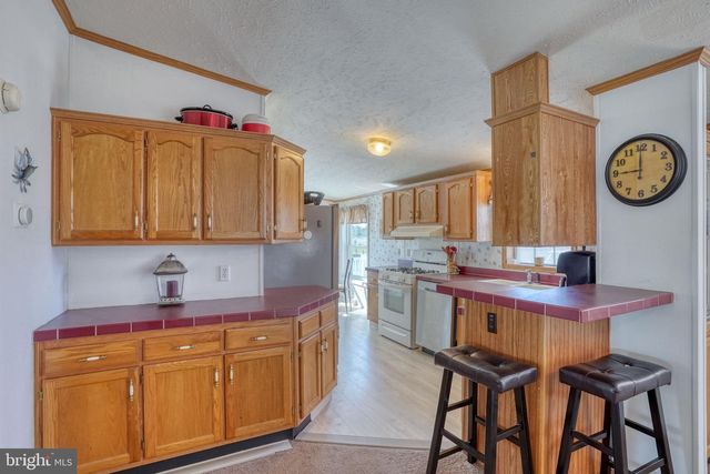 25962 BALD CYPRESS ST, Millsboro, DE 19966