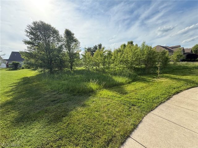 40 Woodland Run, Canfield, OH 44406