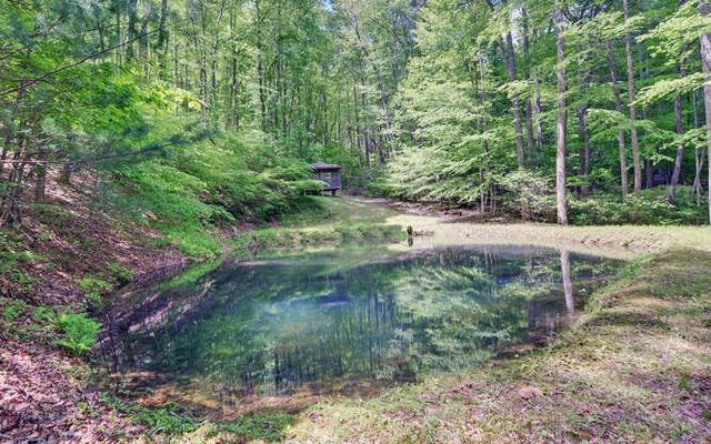 228 Flat Rock Valley Road, Blairsville, GA 30512