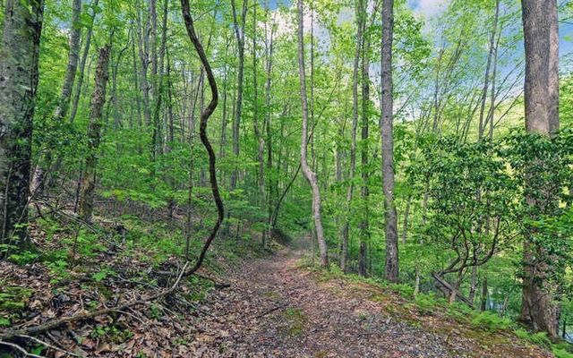 228 Flat Rock Valley Road, Blairsville, GA 30512