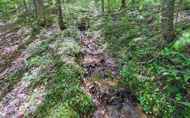 228 Flat Rock Valley Road, Blairsville, GA 30512