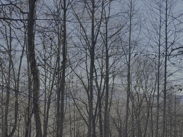 228 Flat Rock Valley Road, Blairsville, GA 30512