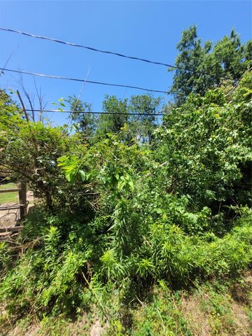 Lots 23-25 Cargill Street, Houston, TX 77029