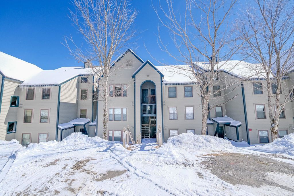 28 Fowler Road N103, Ludlow, VT 05149