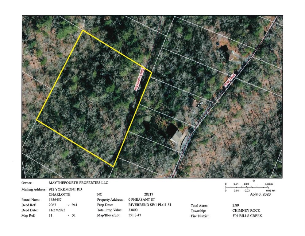 0 Pheasant Street 51, Lake Lure, NC 28746