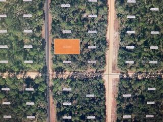 XX THERESA AVENUE, Interlachen, FL 32148