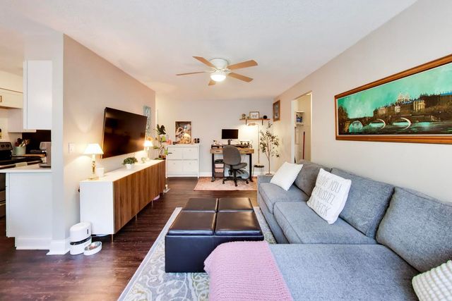 420 W Aldine Avenue 228, Chicago, IL 60657
