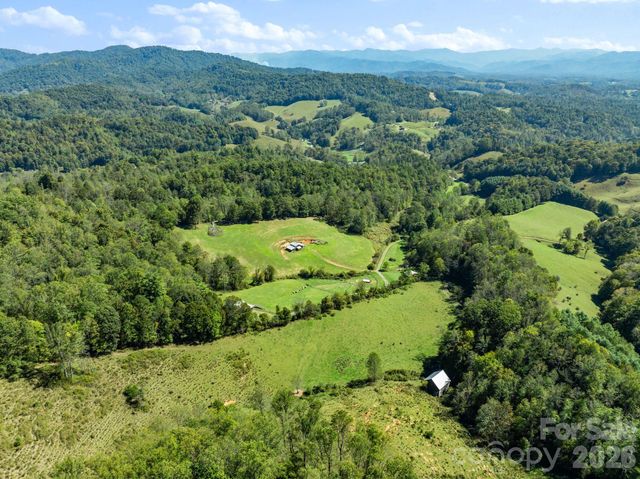 99 Quill Ammons Hollow, Marshall, NC 28753