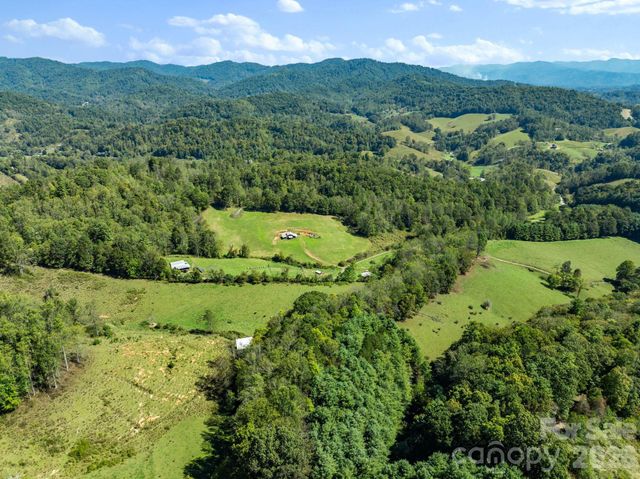 99 Quill Ammons Hollow, Marshall, NC 28753