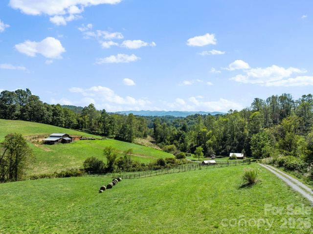 99 Quill Ammons Hollow, Marshall, NC 28753