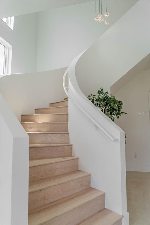 Image 7 of property listing at 4502 S SHAMROCK ROAD, Tampa, FL 33611