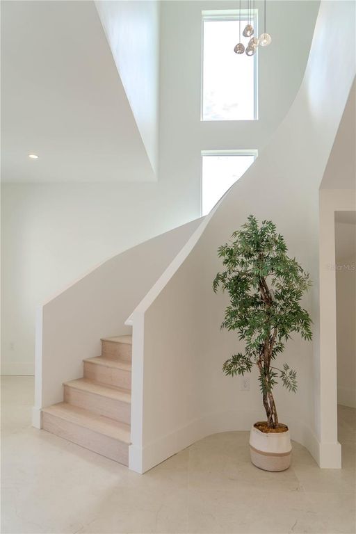 Image 8 of property listing at 4502 S SHAMROCK ROAD, Tampa, FL 33611