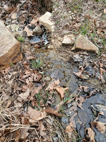 16859 Highway U, Willow Springs, MO 65793