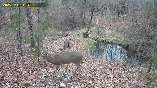 16859 Highway U, Willow Springs, MO 65793