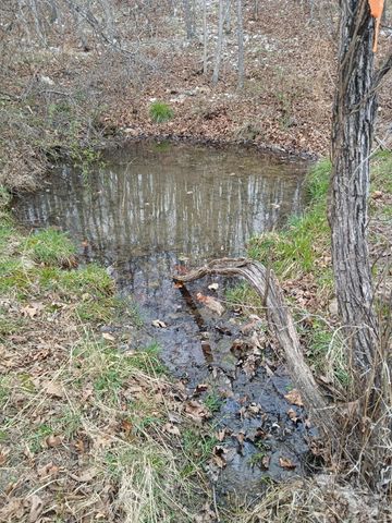 16859 Highway U, Willow Springs, MO 65793