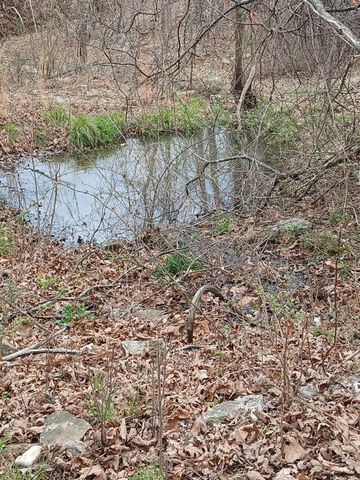 16859 Highway U, Willow Springs, MO 65793