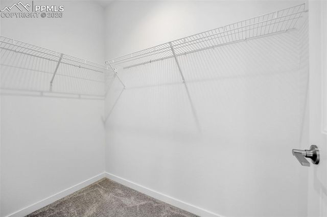 8172 Manor House Way, Colorado Springs, CO 80908