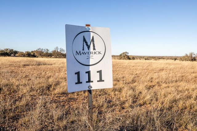 111 Stock Pond Dr, Harper, TX 78631