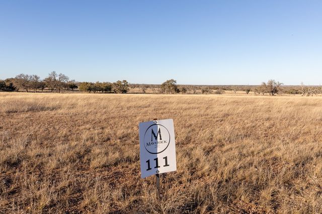 111 Stock Pond Dr, Harper, TX 78631