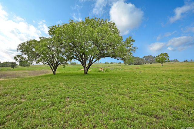 1335 N GABLE RD, St Hedwig, TX 78152