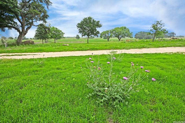 1335 N GABLE RD, St Hedwig, TX 78152