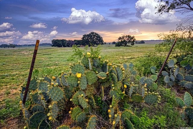 1335 N GABLE RD, St Hedwig, TX 78152