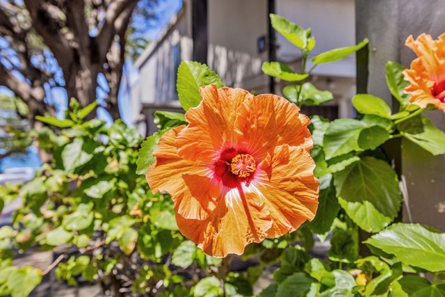 2531 S Kihei Rd Apt C620 620, Kihei, HI 96753