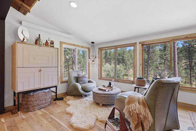 22749 SUNNYSIDE GULCH RD, Silver City, SD 57702