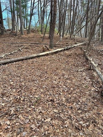 0 Log Swamp Dr. Drive, Jasper, GA 30143