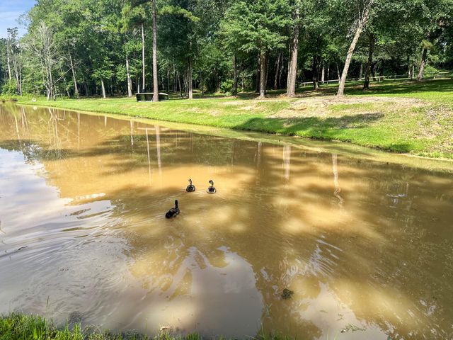 18107 Keenan Cut Off Road, Montgomery, TX 77316
