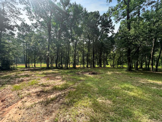 18107 Keenan Cut Off Road, Montgomery, TX 77316