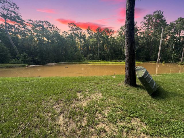 18107 Keenan Cut Off Road, Montgomery, TX 77316