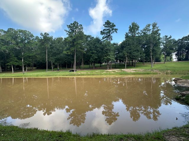 18107 Keenan Cut Off Road, Montgomery, TX 77316
