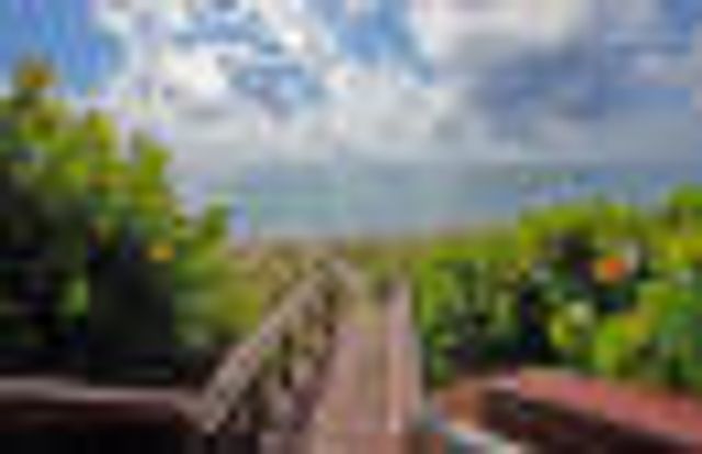 200 Ocean Trail Way 1105, Jupiter, FL 33477