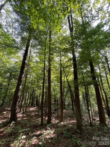 Lot 20 Haverhill Court 20, Flat Rock, NC 28731
