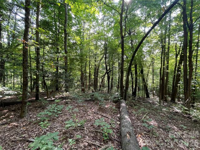 Lot 20 Haverhill Court 20, Flat Rock, NC 28731