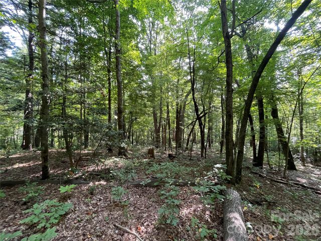Lot 20 Haverhill Court 20, Flat Rock, NC 28731