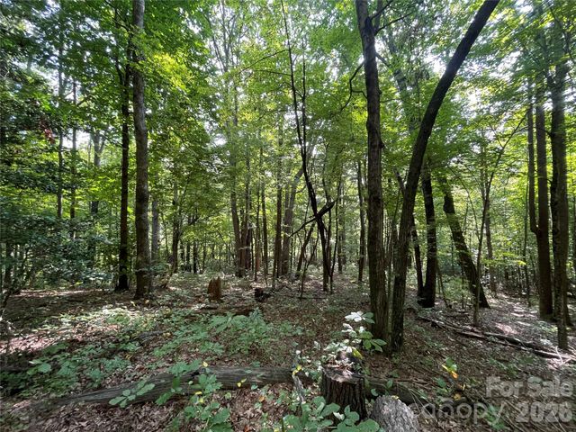 Lot 20 Haverhill Court 20, Flat Rock, NC 28731