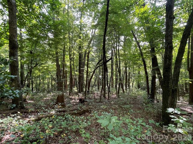Lot 20 Haverhill Court 20, Flat Rock, NC 28731