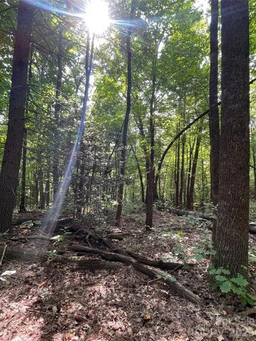 Lot 20 Haverhill Court 20, Flat Rock, NC 28731